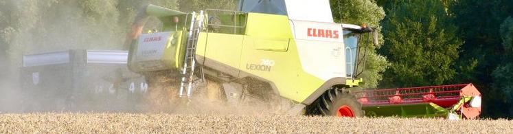 Au sud comme à l’est du département, si le temps reste au beau fixe, «la moisson devrait être terminée avant le 1er août.