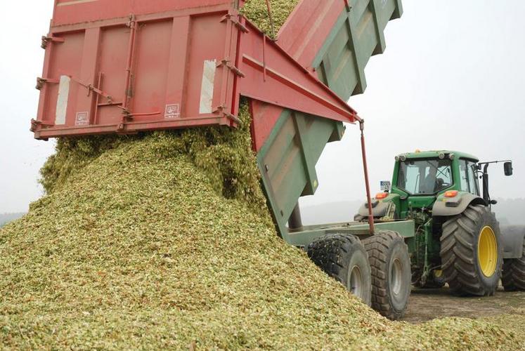 Après une période d’interdiction, les ensilages et les récoltes peuvent reprendre sur les communes visées, mais en isolant la récolte.