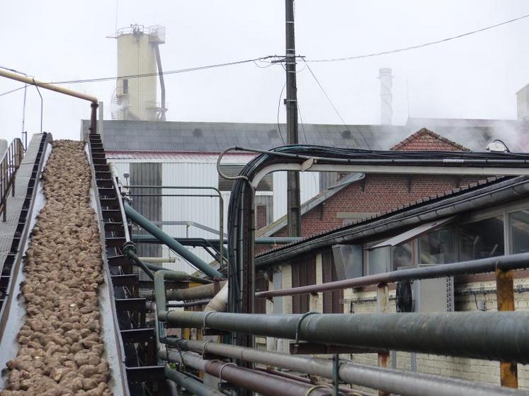 L'usine de Sainte-Emilie a tourné 24 heures sur 24 pendant cent dix jours, contre quatre-vingt-cinq l'année dernière.