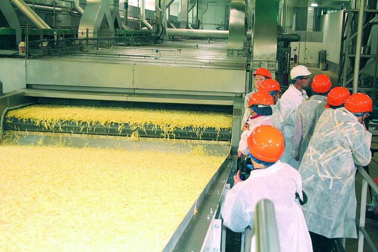 La production des usines françaises stagne alors la consommation de pommes de terre transformées augmente.