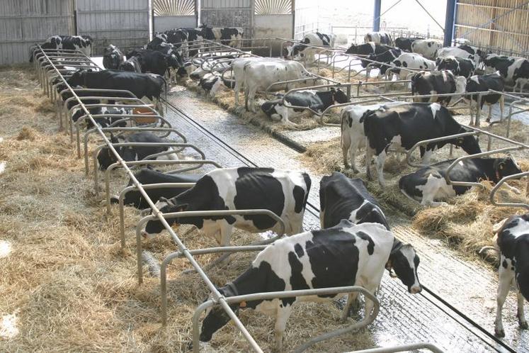 L’objectif du projet Orgue est d’identifier les difficultés et les clés de réussite de l’agrandissement et de la transmission 
en élevages laitiers dans un contexte de suppression des quotas et de libéralisation du marché laitier. 