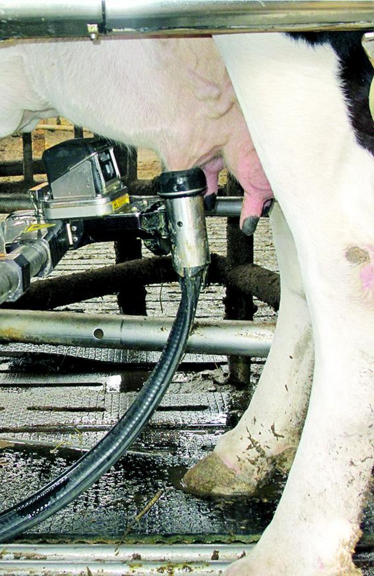 L’arrivée d’un robot de traite perturbe l’organisation globale 
de la production laitière, permet son augmentation et donne un nouvel élan à l’exploitation.