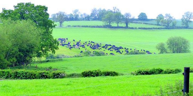 400 ha en un seul bloc, avec des pâtures de 7 ha et des chemins d’accès en travers en béton.