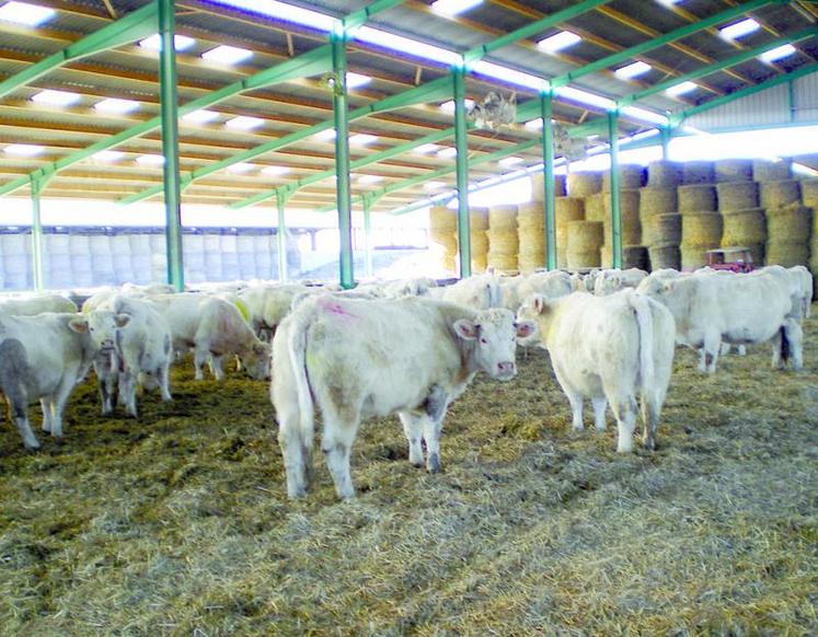 Décapitalisation : il faut anticiper avant d’être pris à la gorge par les créanciers et devoir brader dans la précipitation. 
Le stock fourrager doit être adapté pour éviter une immobilisation financière superflue.