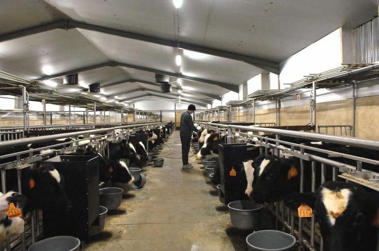 Le niveau d’exposition des veaux aux antibiotiques est passé de 5,74 en 2013 à 3,41 en 2016-2017, soit une baisse 
significative de 40 %.