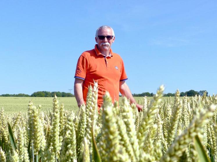 Après la récolte de son blé, Didier Carette compte désormais semer ses couverts en direct, grâce à l’achat d’un semoir à dents en Cuma.