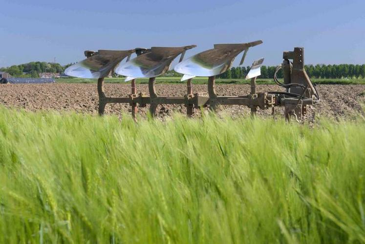 Les projets de grandes cultures biologiques auront un caractère prioritaire.