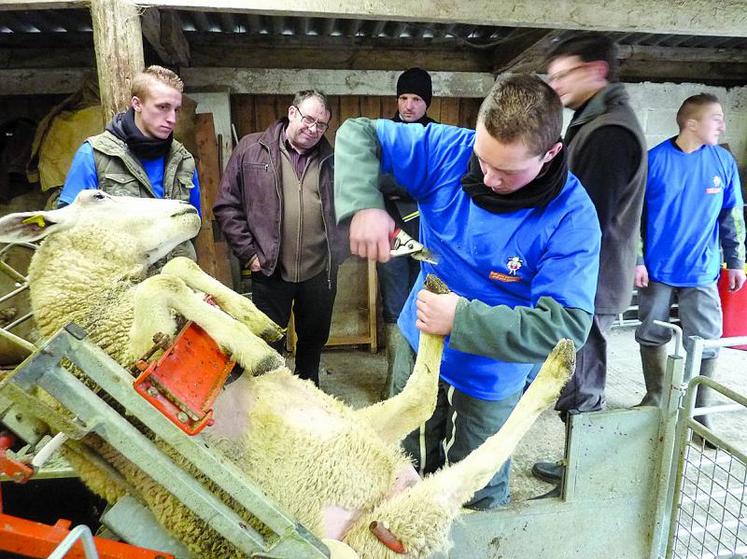 Les étudiants ont été félicités par le jury pour leur engagement 
et leurs très bons résultats dans les épreuves.