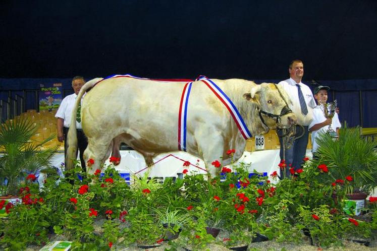 Gérald Leborgne, éleveur de charolaises à Vironchaux : 
«J’ai plaisir à concourir avec mes meilleurs animaux».