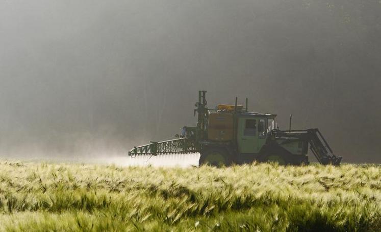 Une réduction brutale des phytos augmenterait le coût de production, soit une augmentation des prix à la consommation.