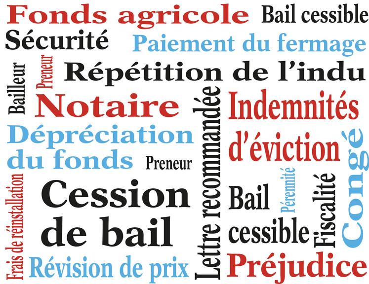 Le bail cessible est un moyen de transmettre l’entreprise agricole avec plus de facilités que le bail classique, notamment quand il s’agit de personnes hors cadre familial, il permet de donner une valeur à l’exploitation. 