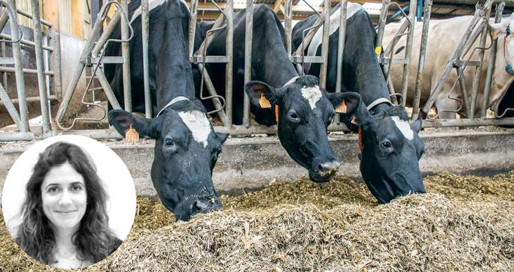 Cécile Riffard : «Les structures qui construisent des indicateurs de coûts de production ne travaillent pas de la même  manière. Cela peut concerner la rémunération de l’exploitant, ou la prise en compte de l’alimentation pour les animaux.»  