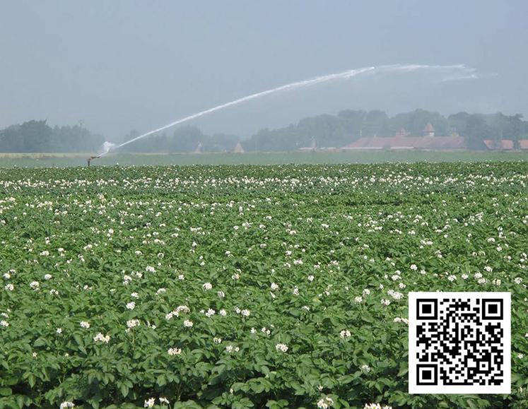 Au fil des années, de nouveaux besoins d’irrigation sont venus s’ajouter aux usages historiques, entraînant une pression plus forte sur la ressource en eau. Dans le même temps, Agro-Transfert réalise une enquête à destination  de tous les exploitants agricoles des Hauts-de-France avec ou sans irrigation, pour identifier leurs besoins en termes de conseils et d’accompagnement  (lien en scannant le QR ci-dessus).