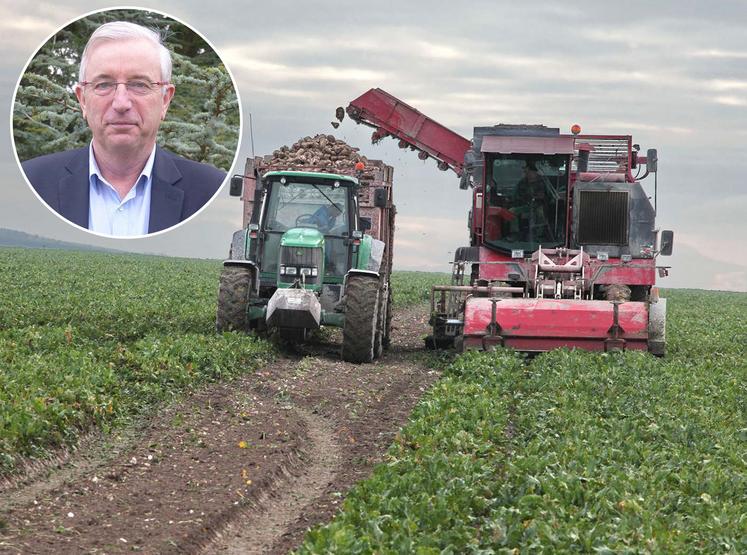 Les conditions d’arrachage, restent «moyennes», selon la CGB qui relève un taux de tare de 10 %. 