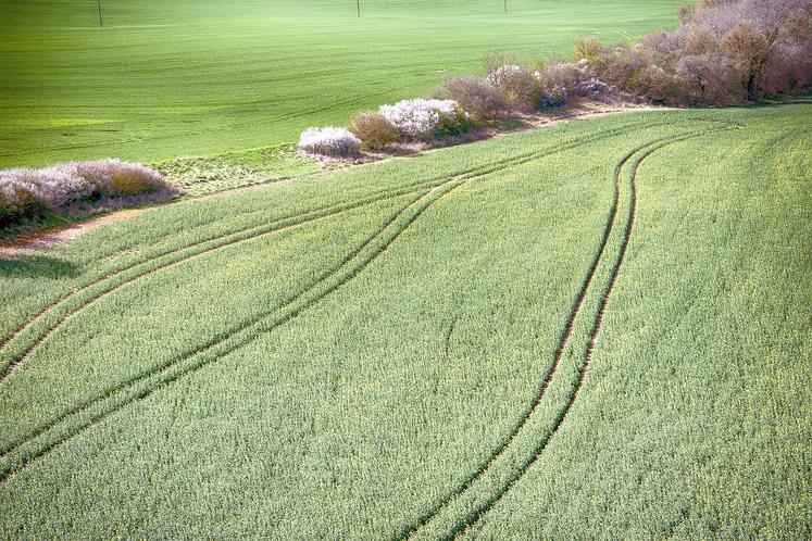 Pour plus de détails, retrouvez les informations et les documents relatifs à l’appel à projet ouvert aux agriculteurs :  https://europe-en-hautsdefrance.eu/appels-a-projets/