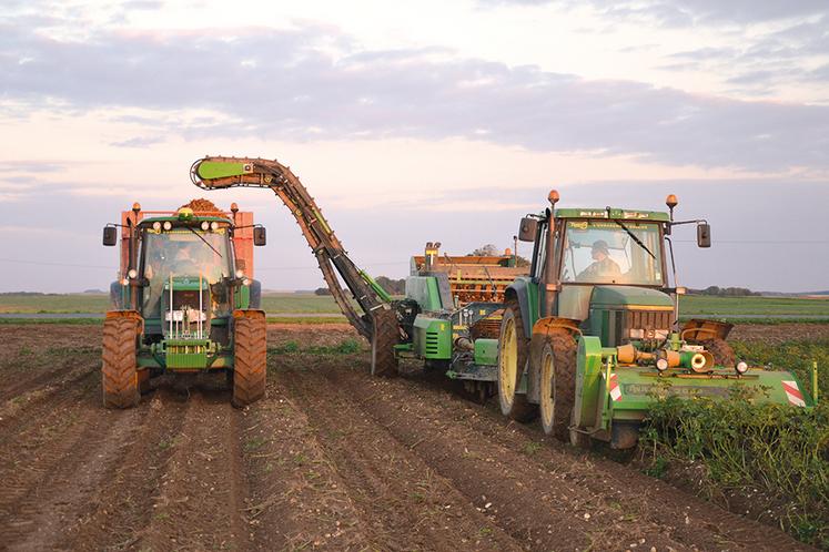 Les pommes de terre fécules sont réputées pour résister au manque d’eau,  mais cette campagne, la sécheresse était trop forte. 