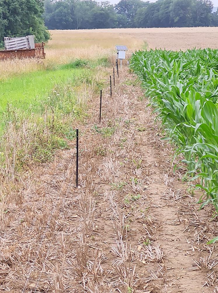 Équiper la clôture d’une batterie autonome (grâce  à un panneau photovoltaïque) et d’un système d’alerte  (un boîtier) qui permet à l’utilisateur de la clôture  de déceler une anomalie. 