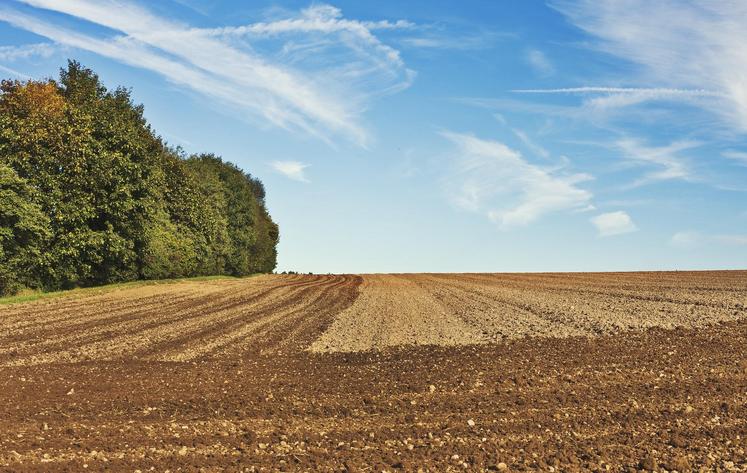 terres agricoles