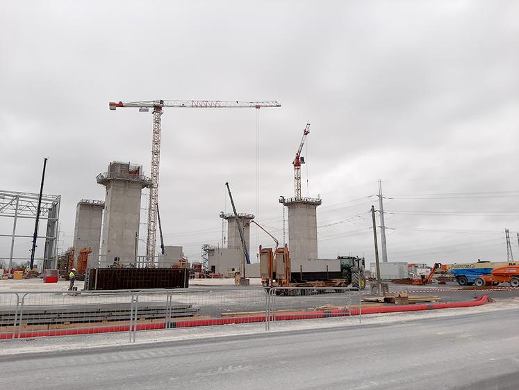 Avec une surface de 45 000 m2, une hauteur de 36 m  et une capacité de production de 200 000 tonnes d’ingrédients par an, l’usine baptisée Ÿnfarm se présente comme «la plus grande ferme verticale au monde».  