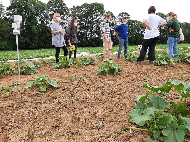 Les journées nationales de l’agriculture ont été l’occasion pour Bonduelle d’organiser des rencontres au champ entre producteurs et consommateurs, comme chez Antoine Depourcq. 