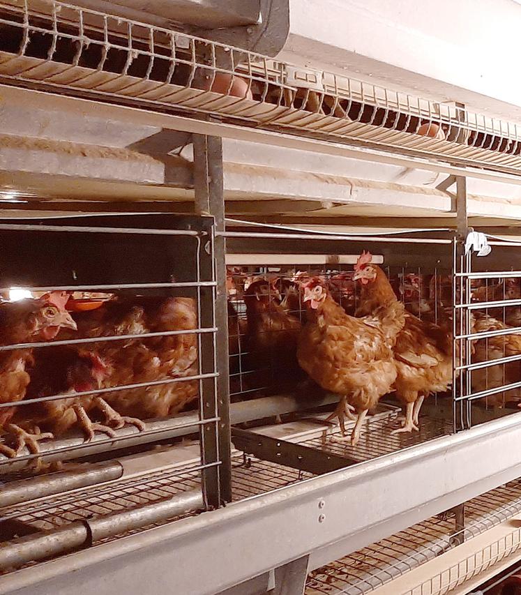 Le président de la Commission agricole du Parlement européen, Norbert Lins a estimé qu’il était nécessaire de trouver des dispositions financières afin que les agriculteurs puissent effectuer cette transition d’ici 2027. 