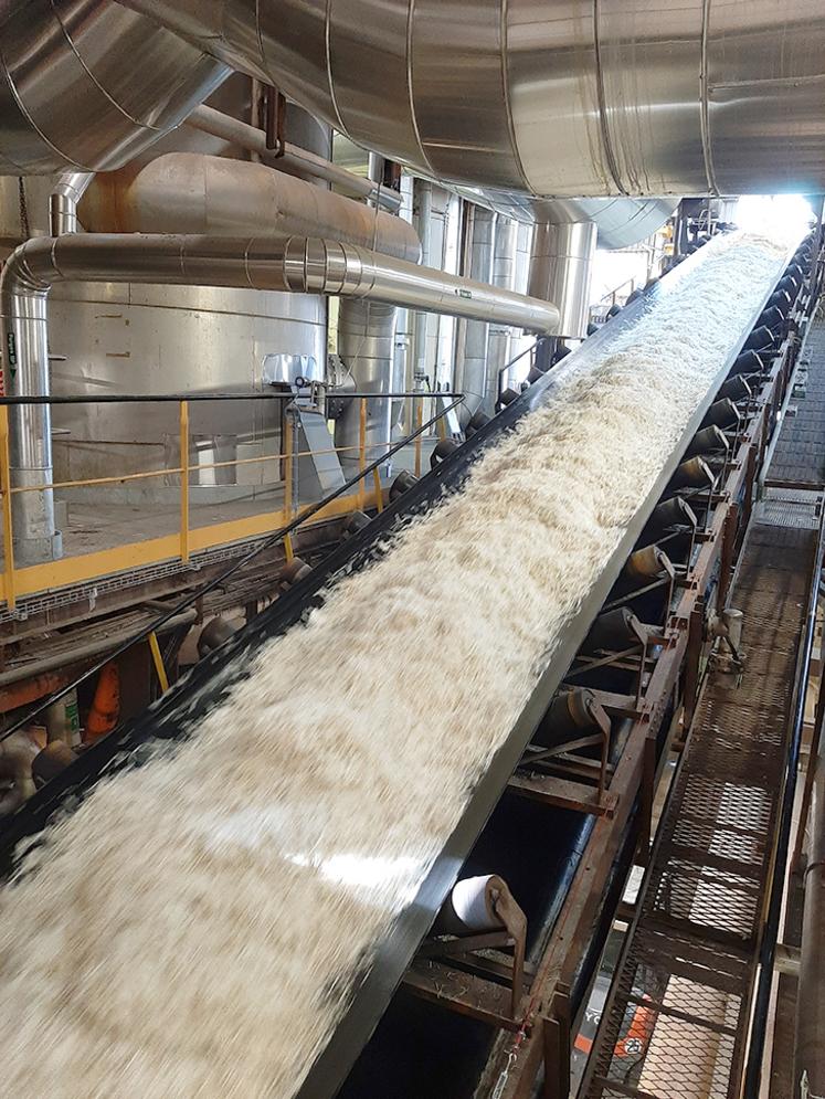 Dans le bassin d’approvisionnement de la sucrerie de Sainte-Émilie, rendement de racines et richesse en sucre sont au rendez-vous de la campagne 2021. 