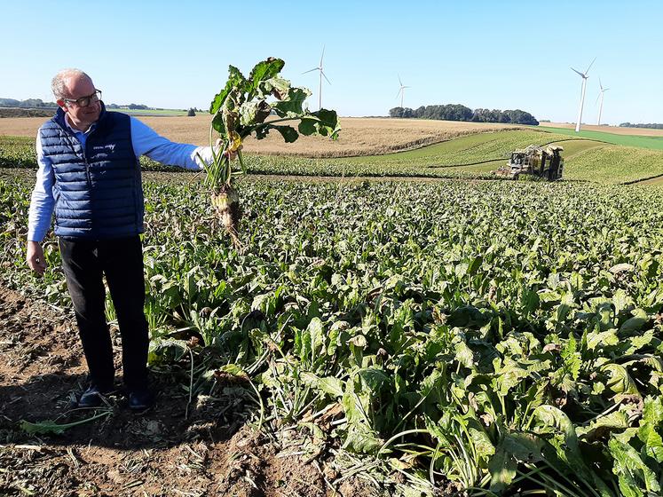 Dans le bassin d’approvisionnement de la sucrerie de Sainte-Émilie, rendement de racines et richesse en sucre sont au rendez-vous de la campagne 2021. 