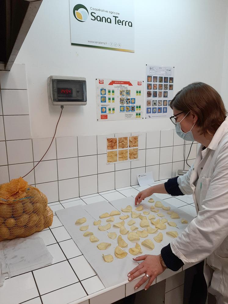 À Rosières-en-Santerre, Sana Terra dispose d’un laboratoire qui lui permet  de réaliser différents tests de qualité. Fonction des résultats, le débouché  est différent et adapté. 