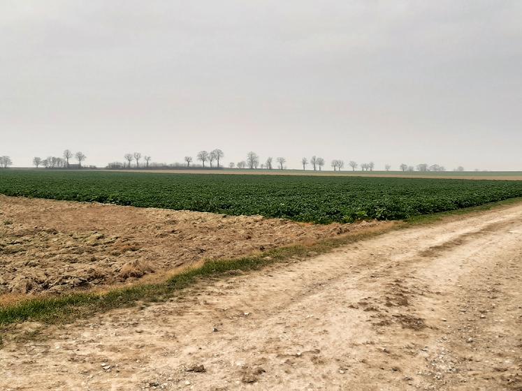 Le premier lot, situé sur la commune de Gentelles se compose d’une parcelle de 10 hectares,  1 are et 18 centiares et d’une parcelle de 3,30 hectares. Sa mise à prix est de 72 000 E. Le second lot, comprenant des parcelles situées sur la commune de Boves, se compose  d’une parcelle de 11,24 hectares et d’une parcelle de 1,24 hectares. 