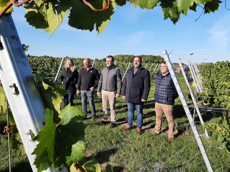 Responsables de l’entreprise de négoce Ternoveo et du groupe Advitam ont participé le mercredi 28 septembre aux premières vendanges des vignes plantées en 2020, chez Laurent Sellié, l’un des onze néo-viticulteurs engagés dans la création  d’une filière viticole régionale par Ternoveo. 