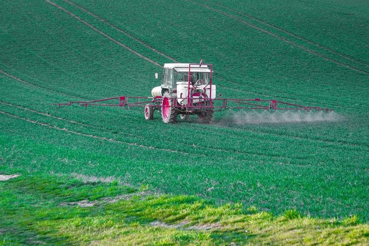 Les co-rapporteurs du texte donnent le sentiment de marcher sur des œufs en évoquant les conséquences de l’arrêt complet du glyphosate.