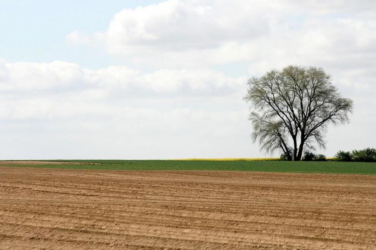 L’inscription des terres au bilan peut être un avantage non négligeable en termes de déduction de charges, mais chaque situation est à analyser avant d’exercer l’option.