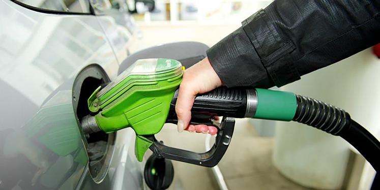 Méthanisation, carburants verts mais aussi coproduits animaux (entre autres) figurent dans les orientations de la future stratégie «produits biosourcés» et «carburants durables» en préparation du côté de Bercy.