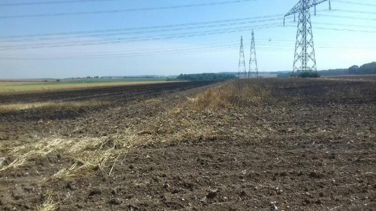 Comme cette parcelle d'Argœuvres, des dizaines d'hectares ont pris feu lors de la moisson ces dix derniers jours.