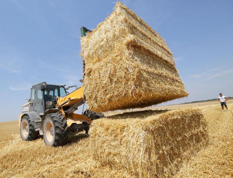 Les prix de la paille ou du foin «ont explosé» : le foin vaut environ 150 €/t, au lieu de 100 e/t l’an passé.