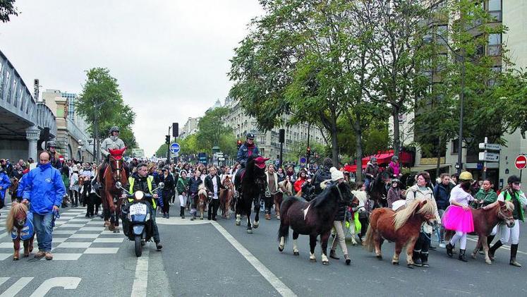 Les amateurs de chevaux et les professionnels des centres équestres ont réussi leur mobilisation contre la hausse de TVA.