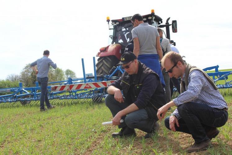 Plus d’une vingtaine d’agriculteurs ont assisté à la démonstration de désherbage mécanique.