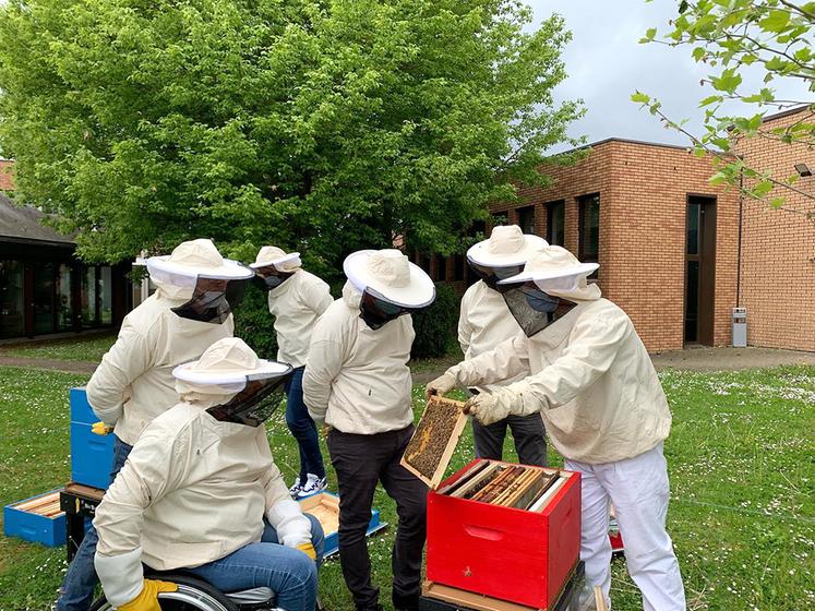 En plus de la gestion de la ruche, Thibaut Noël et Clément Gaudin proposent des animations autour de l’apiculture.