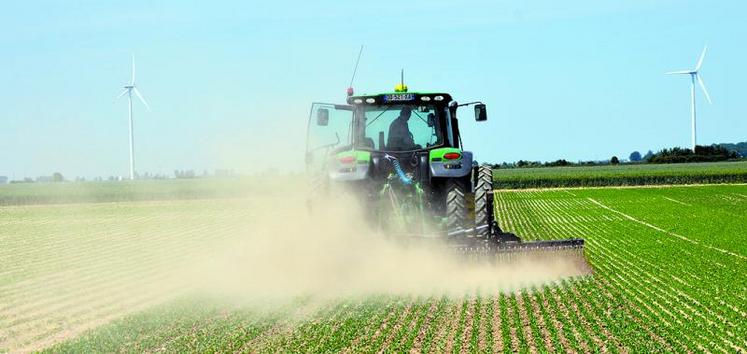 La houe rotative, un des outils pour réaliser le désherbage mécanique, permet de passer sur 100 % de la surface tant sur les parcelles de pois que de légumes verts.