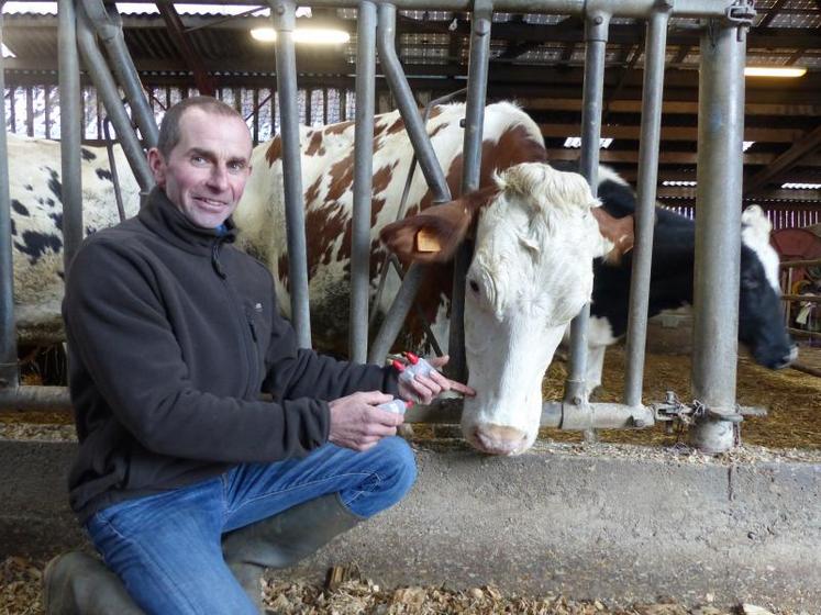 Didier Leleu soigne trois mammites sur quatre grâce à l’homéopathie.