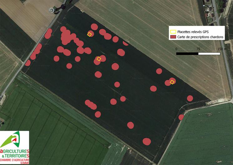 La Chambre d’agriculture de la Somme a testé quatre services de détection d’adventices par drone au printemps 2021  pour cartographier les chardons dans des parcelles de betteraves. 