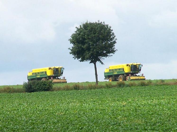 Les 1 248 entreprises de travaux agricoles et ruraux présentes dans les Hauts-de-France emploient 8 050 personnes.