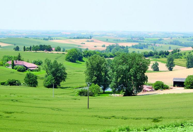 Les baux de petites parcelles ne sont pas soumis à la règle relative à la rédaction d’un écrit ou d’un état des lieux.