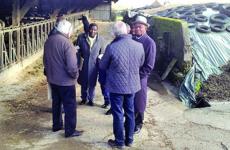 La délégation congolaise en visite dans une exploitation de la région.