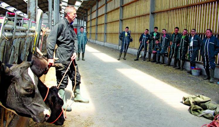 Apprendre à correctement bloquer l'animal.