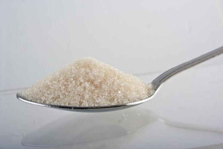 Le secteur du sucre est le plus inquiétant : «Il y a peu de signes de reprise du marché européen», a souligné Phil Hogan.