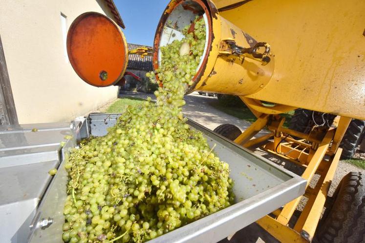 Les indicateurs montrent une baisse très sensible des volumes vendus lors du second semestre 2018 de 4,9 % à 3,5 millions d’hectolitres.