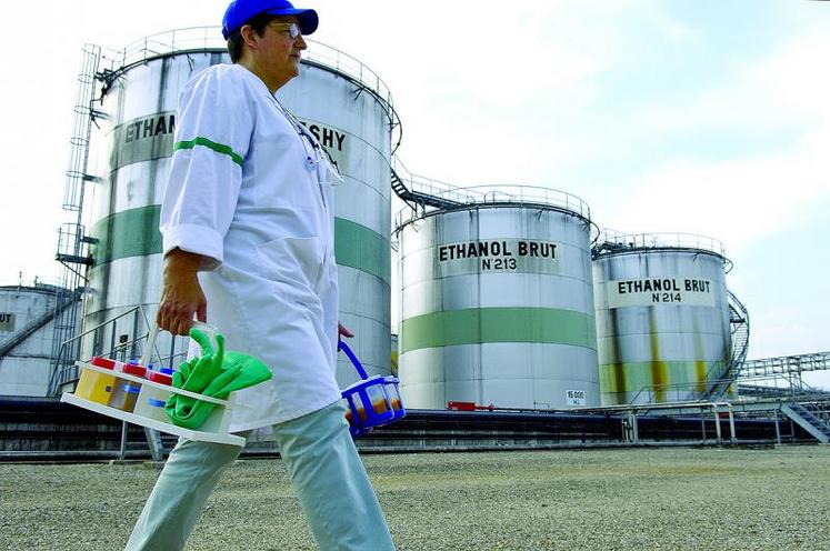 La production de bioéthanol représente aujourd’hui 33 % du marché des essences, en progrès de 6 % en 2015.