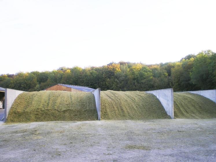 Le silo couloir reste le meilleur rapport qualité et prix pour un stockage de qualité.