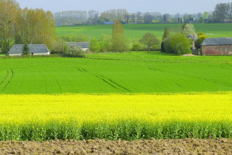 Cette année, les DPU sont réduits de près de 6%, soit quasiment le double des années antérieures.